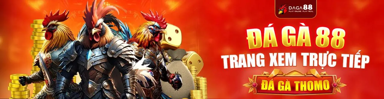 Đá gà 5699win - Sân đấu đầy kịch tính